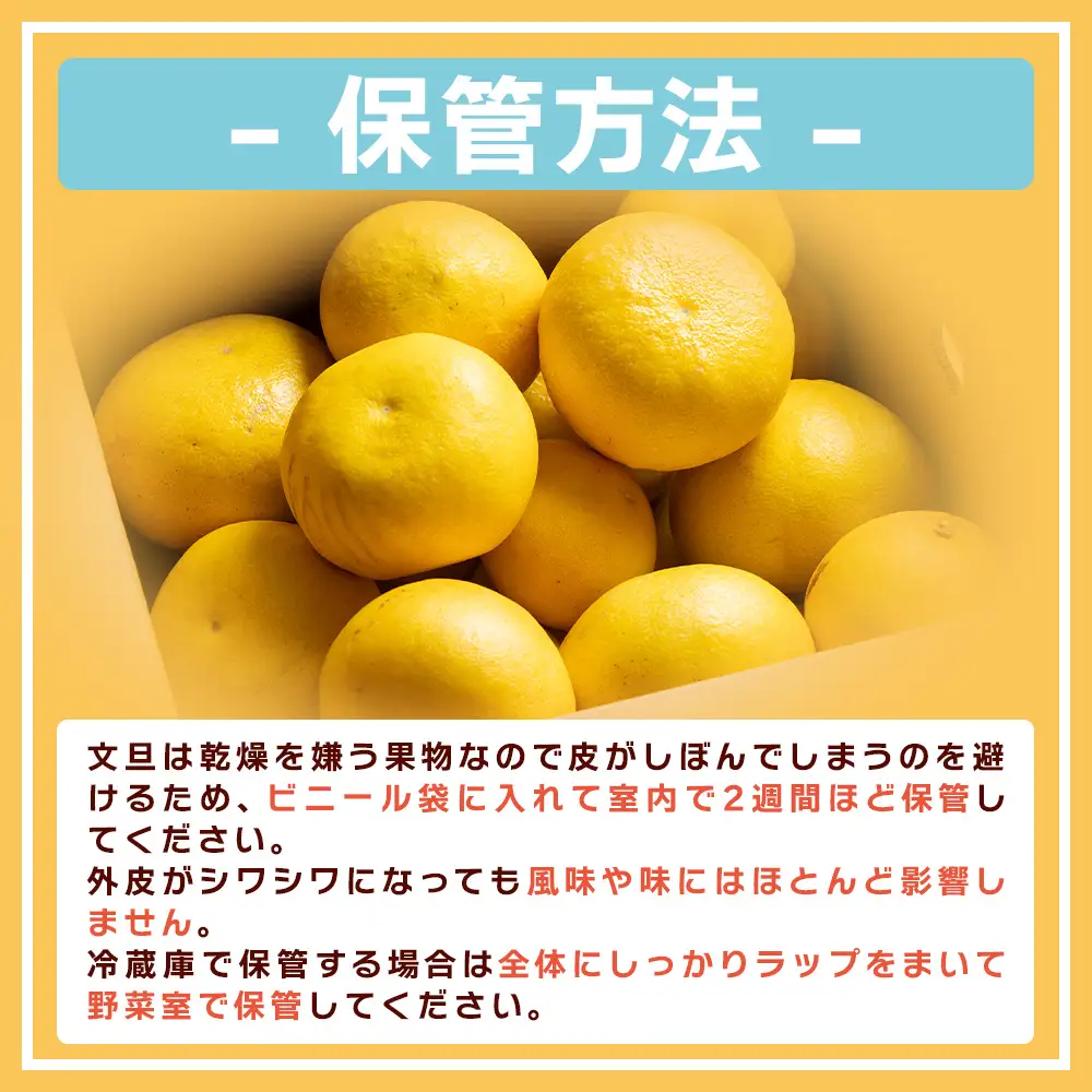 【2月より順次発送】土佐文旦 10kg 家庭用 文旦 yk-0070