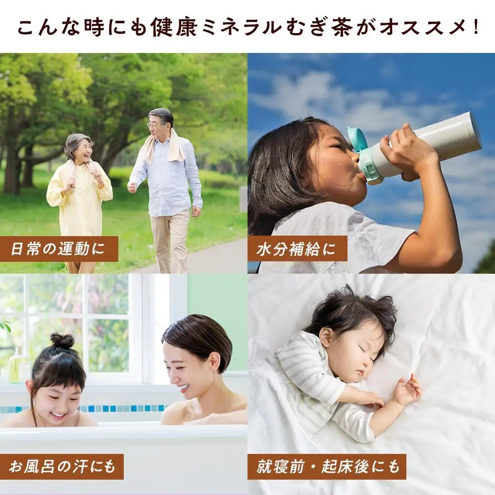 定期便 毎月 全6回 健康ミネラル麦茶 650ml×24本 １ケース 6ヶ月定期便
