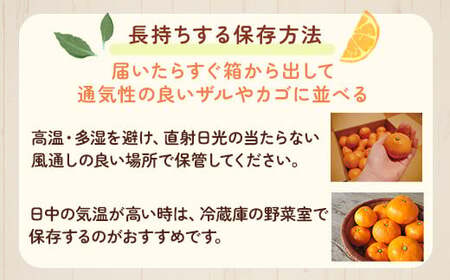 家庭用 極早生有田みかん1kg+250g（傷み補償分）【希少な新品種YN26】【菊みかん入り】◇
