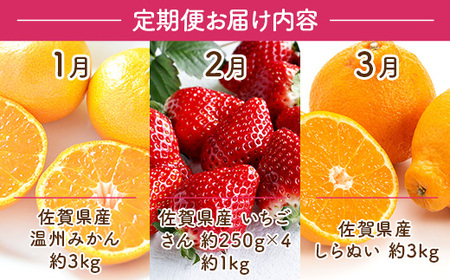 旬の果物3か月定期便　2026年1月から順次発送