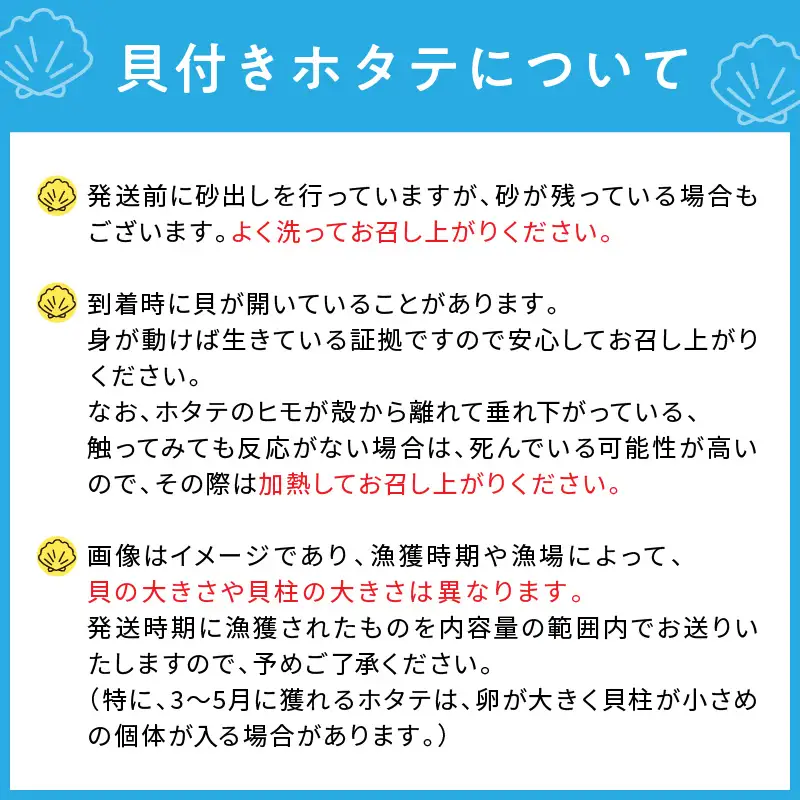 【予約：2026年3月下旬から順次発送】オホーツク貝付きほたて 3kg 15枚～25枚 ( 海鮮 魚介 魚介類 貝 貝類 ホタテ ほたて 帆立 殻付き 貝柱 贈答 ギフト 贈り物 お中元 お祝い BBQ バーベキュー )【031-0012-2026】