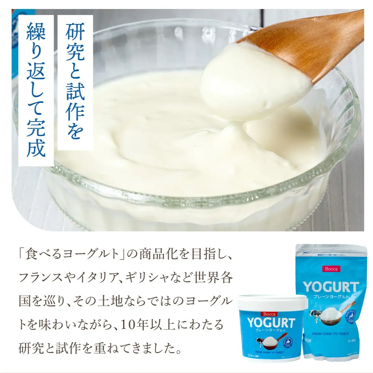 北海道 牧家 Bocca ヨーグルト 500g 3個 計1.5kg【55251205】
