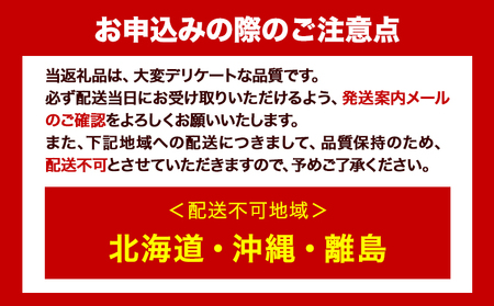【訳あり】 ご家庭用 和歌山の桃 約2kg (6玉-8玉) m＆n果実園 【配送不可地域あり】《2027年6月中旬-7月下旬頃出荷》和歌山県 紀の川市 モモ 桃 もも 旬 白鳳 日川白鳳 なつっこ 果物 フルーツ