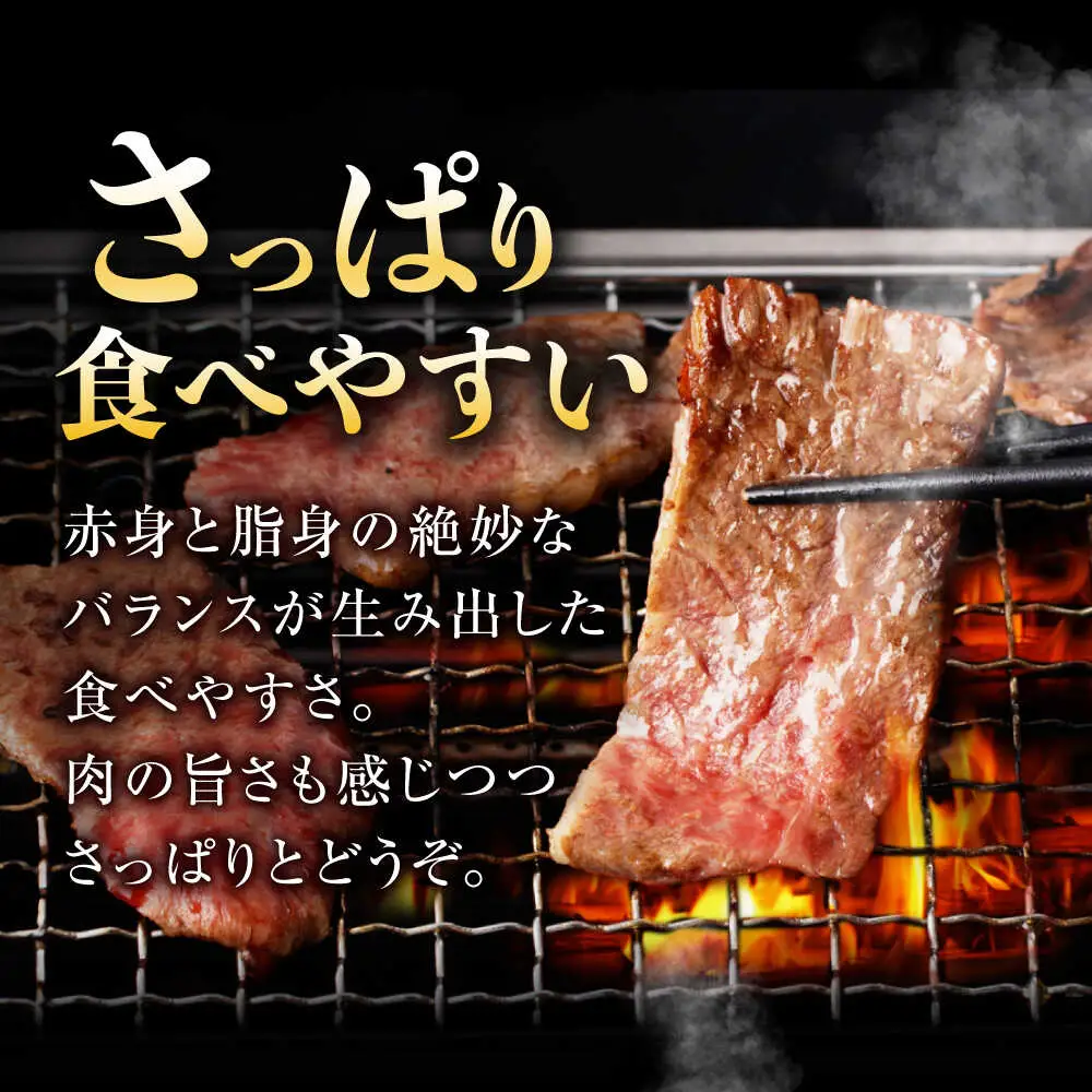 〈数量限定〉【柔らかさとコクの融合！】長崎和牛 A5 ハラミ 300g / 国産 牛肉 和牛 焼肉 はらみ / 諫早市 / 野中精肉店 [AHCW115]