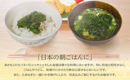 天然あかもくセントレアの恵み【2連パック×10】　あかもく アカモク ぎばさ ギバサ 海藻 食物繊維 冷凍 スーパーフード セントレア 海の恵み ふるさと納税 愛知県 常滑市