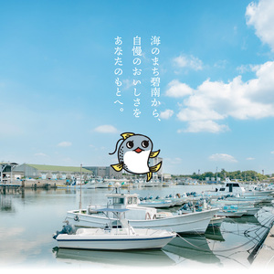 【3ヵ月定期便】金の〆さば「〆さば界の金メダルを目指して」 H021-079