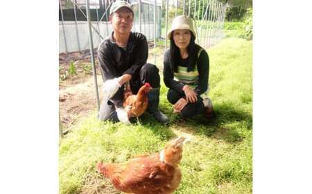 こだわり たまご (6個入12パック) 平飼い養鶏 鶏卵 たまご 卵 たまご 卵 たまご 卵 たまご 卵 たまご 卵 たまご 卵