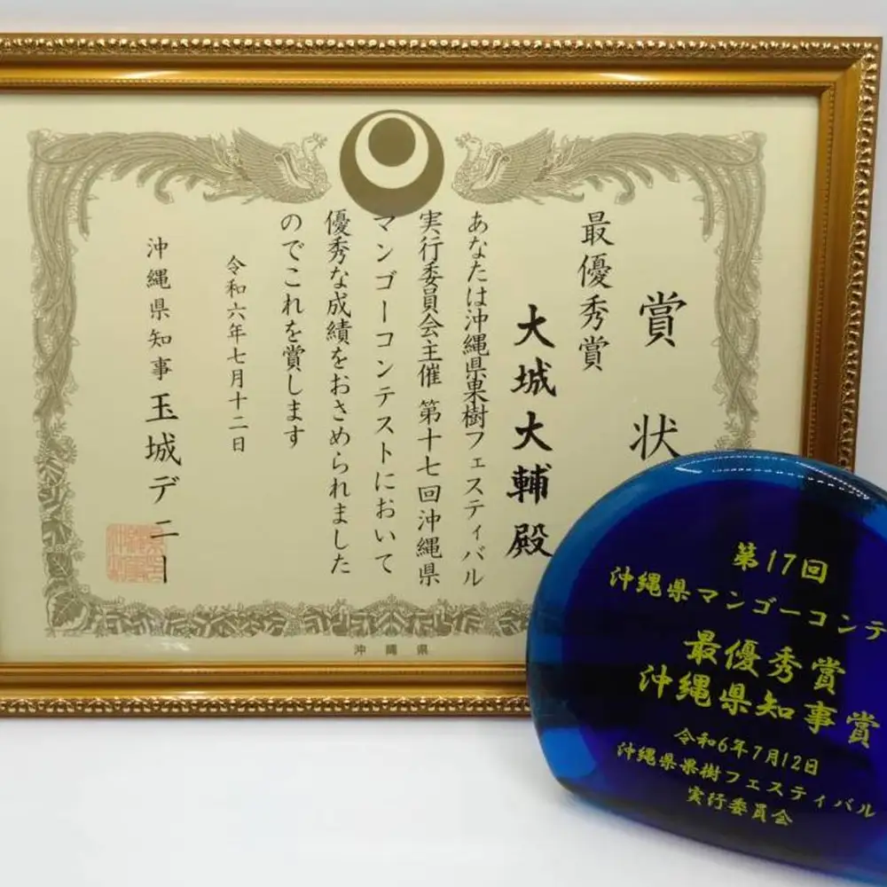 【2027年発送】令和6年最優秀賞サンライズファームのマンゴー贈答用　約1kg（2～3玉）