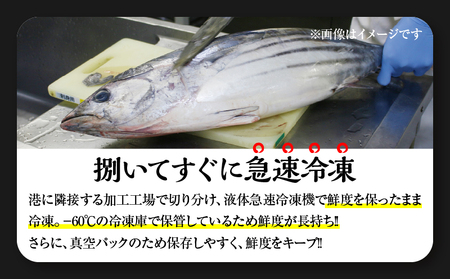 ＼近海かつお一本釣り漁獲量日本一!!／ 大判 かつお 柵 計800g_BB149-24