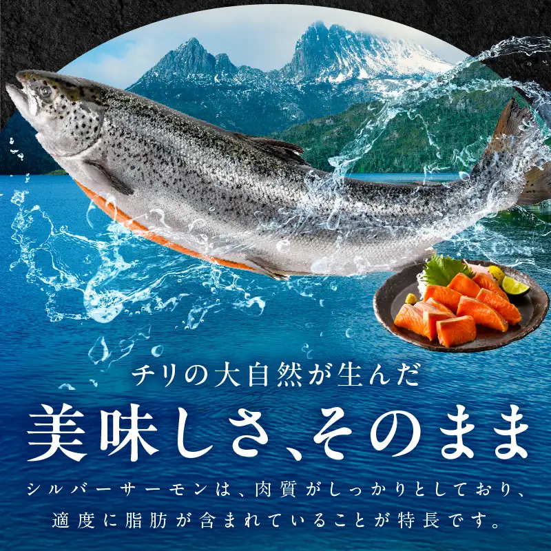 【訳あり】生食用 シルバーサーモン 1kg ポーション