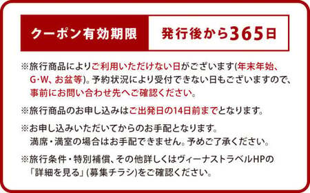 ヴィーナストラベル 旅行商品クーポン券 15000円 旅行券 旅行 クーポン