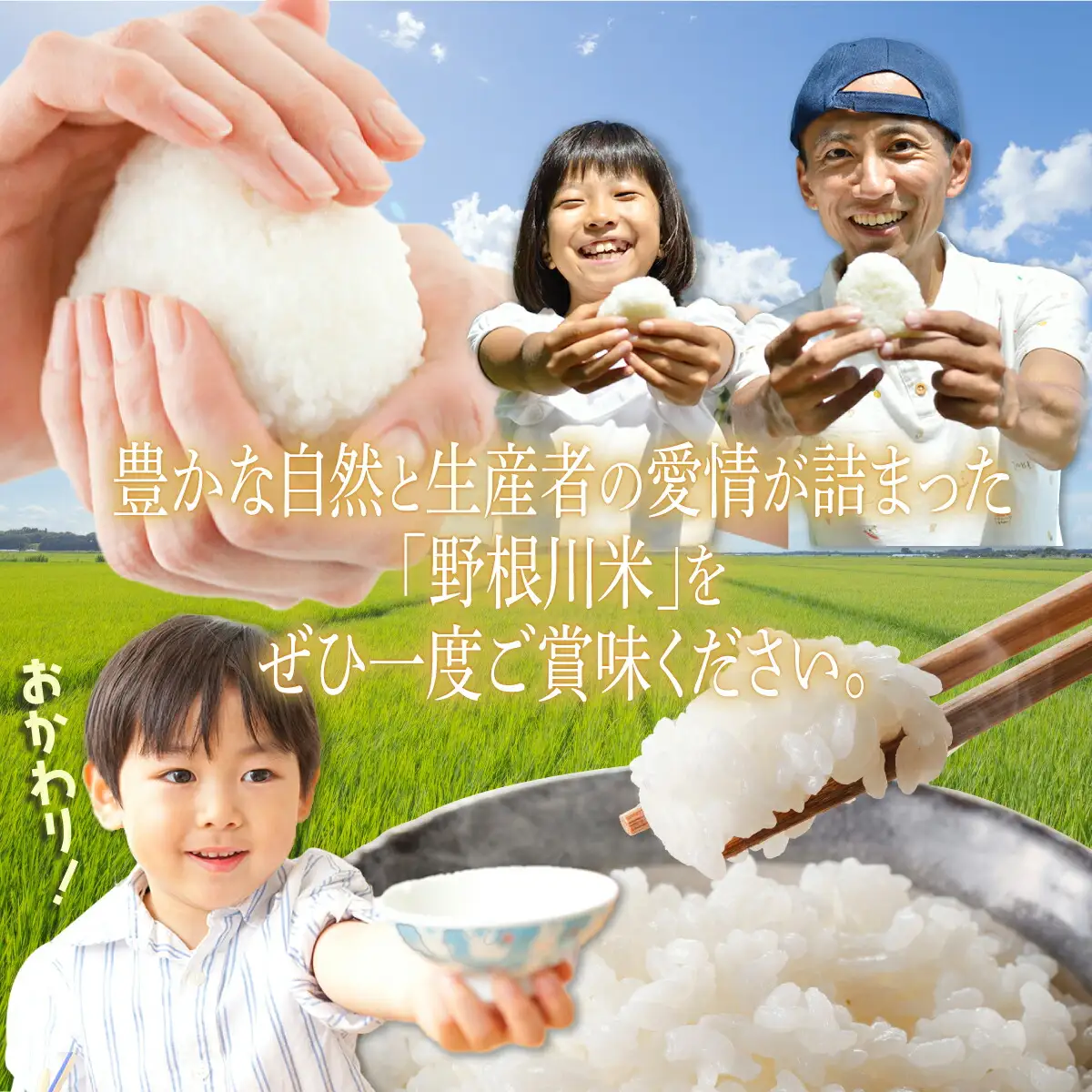 令和7年産 野根川米 5kg 米 国産 コメ【NO001】
