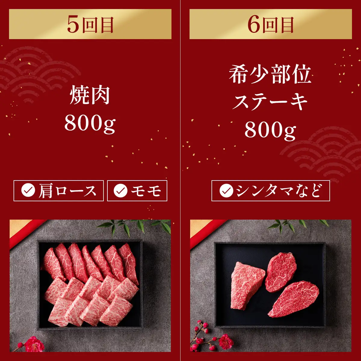 肉【定期便全6回】【和牛セレブ】能登牛 定期便「ファーストクラス」特選 しゃぶしゃぶ すき焼き 焼肉 ステーキ ギフト 石川県 能美市
