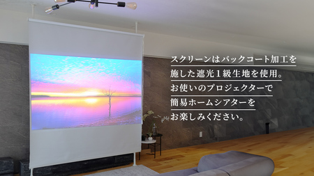 TOSO Naivis つっぱりポール 遮光スクリーン間仕切セット 180cm×220cm つっぱりポール＆ロールスクリーンですっきり間仕切！映写スクリーンにも！ ブラック 935959