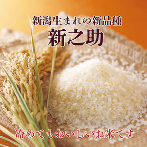 【令和6年産】 新之助 2kg  お米 新潟 新潟県 白米 米 新潟のお米 新発田のお米 こめ ご飯 ごはん 新発田産 新潟産 コシヒカリを超える旨さ 精米 ブランド watasho011