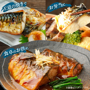 【訳あり 家庭用】 塩さば フィレ 1kg 全12回定期便_G60-T86