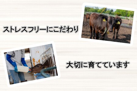 北海道産 A5 黒毛和牛 桜黒和牛 すき焼き しゃぶしゃぶ 用 400g ウデ バラ肉 モモ肉 牛肉 牛 ビーフ 肉 和牛 すきやき 真空 パック 冷凍 北海道 新ひだか町