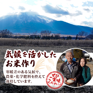 【令和8年度産米】【新米先行予約】【数量限定】忍野村産コシヒカリ（20kg）