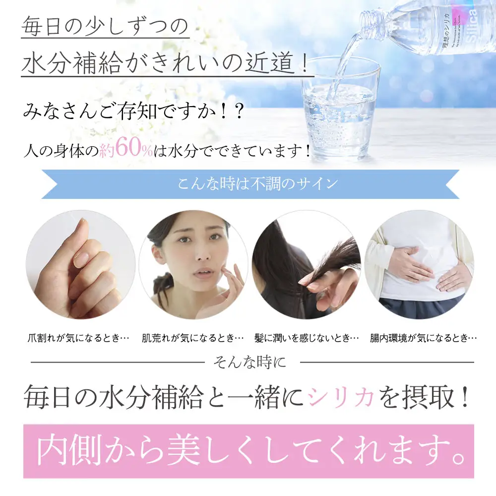 理想のシリカ 500ml × 48本