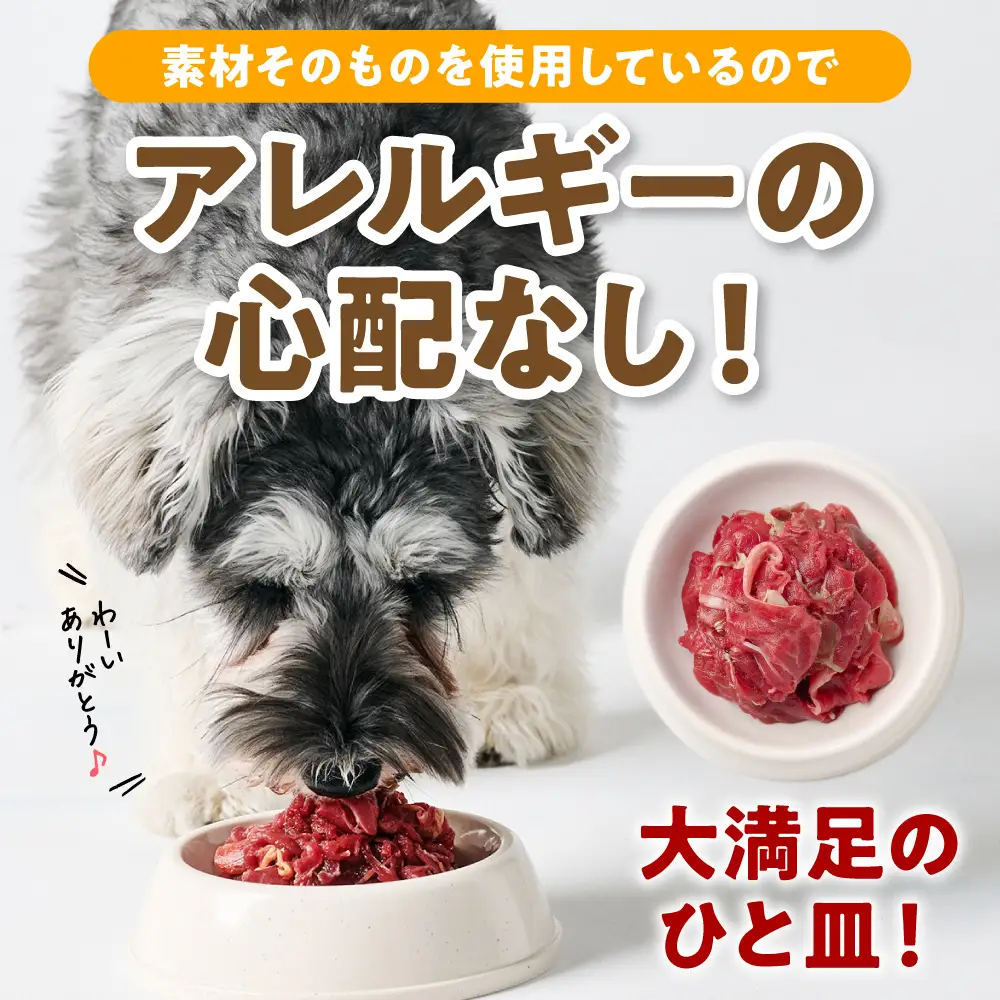 ペット用 馬肉切り落とし2kg 馬肉 ペットフード 愛犬 ドッグフード おやつ 食事 ごはん