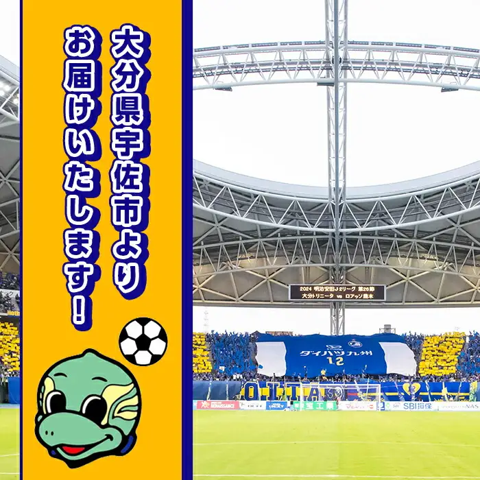 大分トリニータ 公式マスコットぬいぐるみ 圧倒的ニータン (1個) Jリーグ サッカー trinita にーたん グッズ【116300700】【大分フットボールクラブ】
