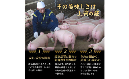 もちぶたのキーマカレー×2個 肩ロースの炊き込みごはんの素(2合用)×2個 豚肉