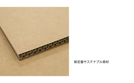 ダストボックス mCB 収納強化ダンボール日本製ダストボックス【10L×2】