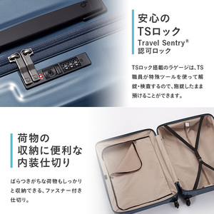 スーツケースプロテカトリアクシスチタンシルバースーツケース