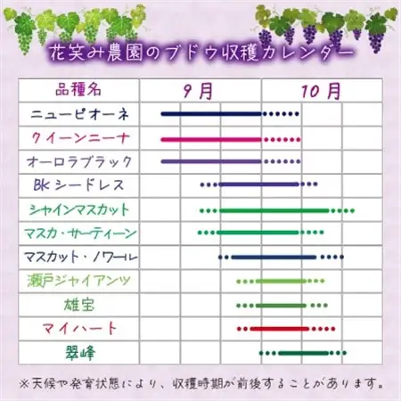 岡山　花笑み農園の『シャインマスカット』優品　約2kg(3～5房)　S-2優【配送不可地域：離島・北海道・沖縄県】【1593497】
