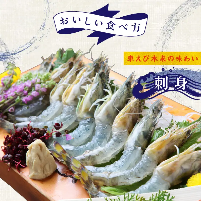 【訳あり】泉州車えび 300g TVで紹介【先行予約】