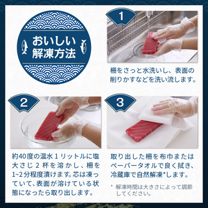 本鮪 赤身 サク 約1kg (a15-686)