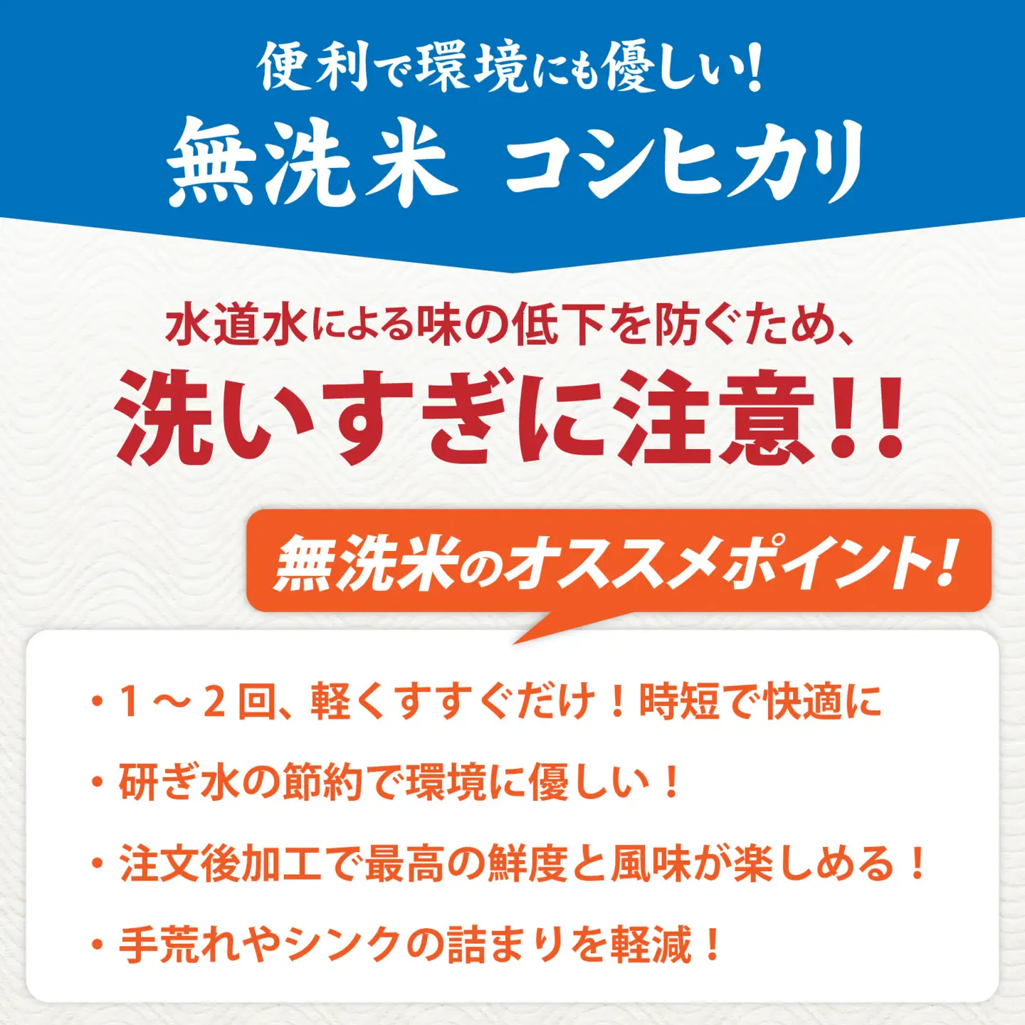 令和7年産 福井市産 コシヒカリ 5kg 無洗米 / 天然の山水で育てたお米【みやま米】 [A-168004]  / 5キロ 5kg 米 こめ コメ お米 こしひかり 福井県 福井市 令和7年 7年産 七年