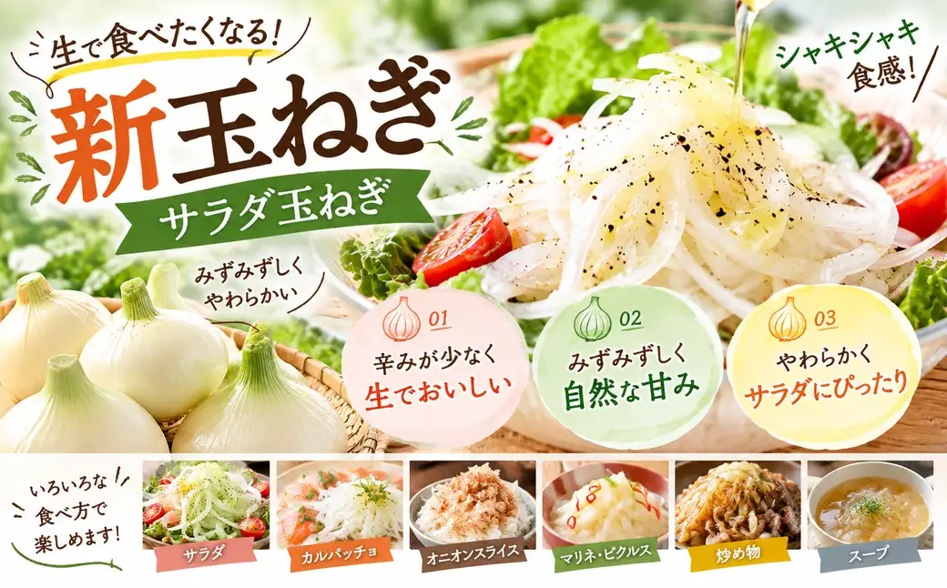 【訳あり】佐賀県太良町産 牟田農園の春の新玉ねぎ10kg （M～L） 【2027年4月上旬～6月上旬発送予定】 たまねぎ タマネギ 野菜 新玉ねぎ 玉ねぎ 佐賀県 太良町 農家直送