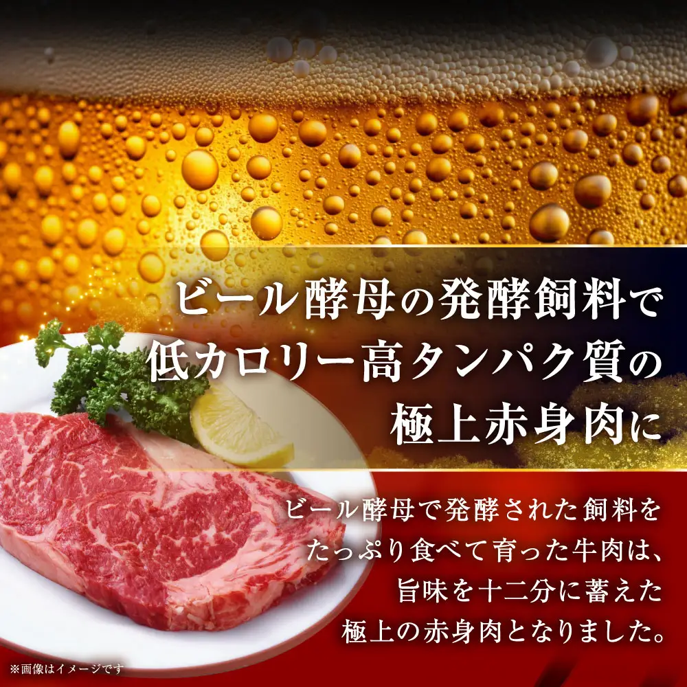 【これぞ北海道産 極上赤身肉】阿寒モルト牛サーロインステーキ 約200g×2枚 ステーキ ふるさと納税 肉