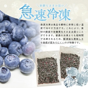 冷凍ブルーベリー1.0kg(500g×2袋) 山形県産 冷凍便 ※離島発送不可 冷凍 冷凍フルーツ ブルーベリー フルーツ ジャム ジュース スムージー 小分け お菓子作り ゆざ食彩工房 遊佐町 庄内 東北 [1430BB1000G]