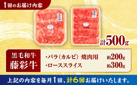 【6回定期便】くまもと黒毛和牛 藤彩牛 2種の食べ比べ計500g 3900【有限会社 スイートサプライなかぞの】[ZDT128]
