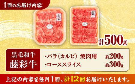 【12回定期便】くまもと黒毛和牛 藤彩牛 2種の食べ比べ計500g 3900【有限会社 スイートサプライなかぞの】[ZDT129]