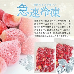 冷凍いちご1.0kg(500g×2袋) 山形県産 冷凍便 ※離島発送不可 冷凍 冷凍フルーツ いちご イチゴ 苺 サマーティアラ フルーツ ジャム ジュース スムージー 小分け お菓子作り ゆざ食彩工房 遊佐町 庄内 東北 [1431IC1000G]
