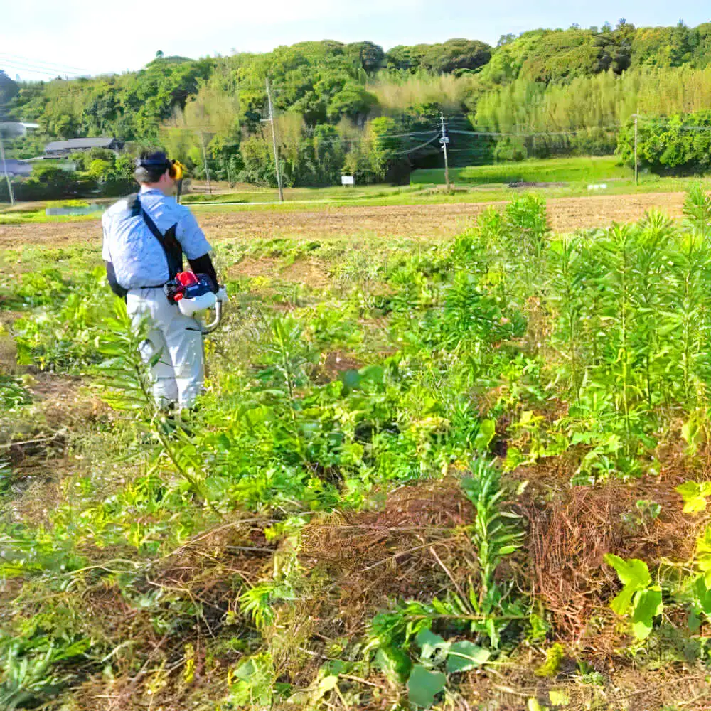 草刈り・墓地清掃・遺品整理等の代行チケット5，000円分《壱岐市》【便利屋とこしえ】[JGX001]