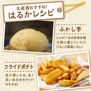 【先行受付】【2027年3月～4月頃発送予定】低温貯蔵！ホクホク あま～い！北海道産 越冬じゃがいも はるか 約10kg  芋 _S041-0010-2027