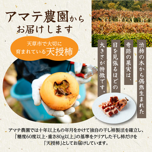 S111-005_【訳あり】和スイーツ!天授柿(干し柿)化粧箱6個入り　