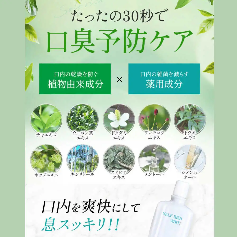 歯磨き粉 【全3回定期便】 マウスウォッシュ 1本(300ml) 歯磨き粉[AGCQ028]