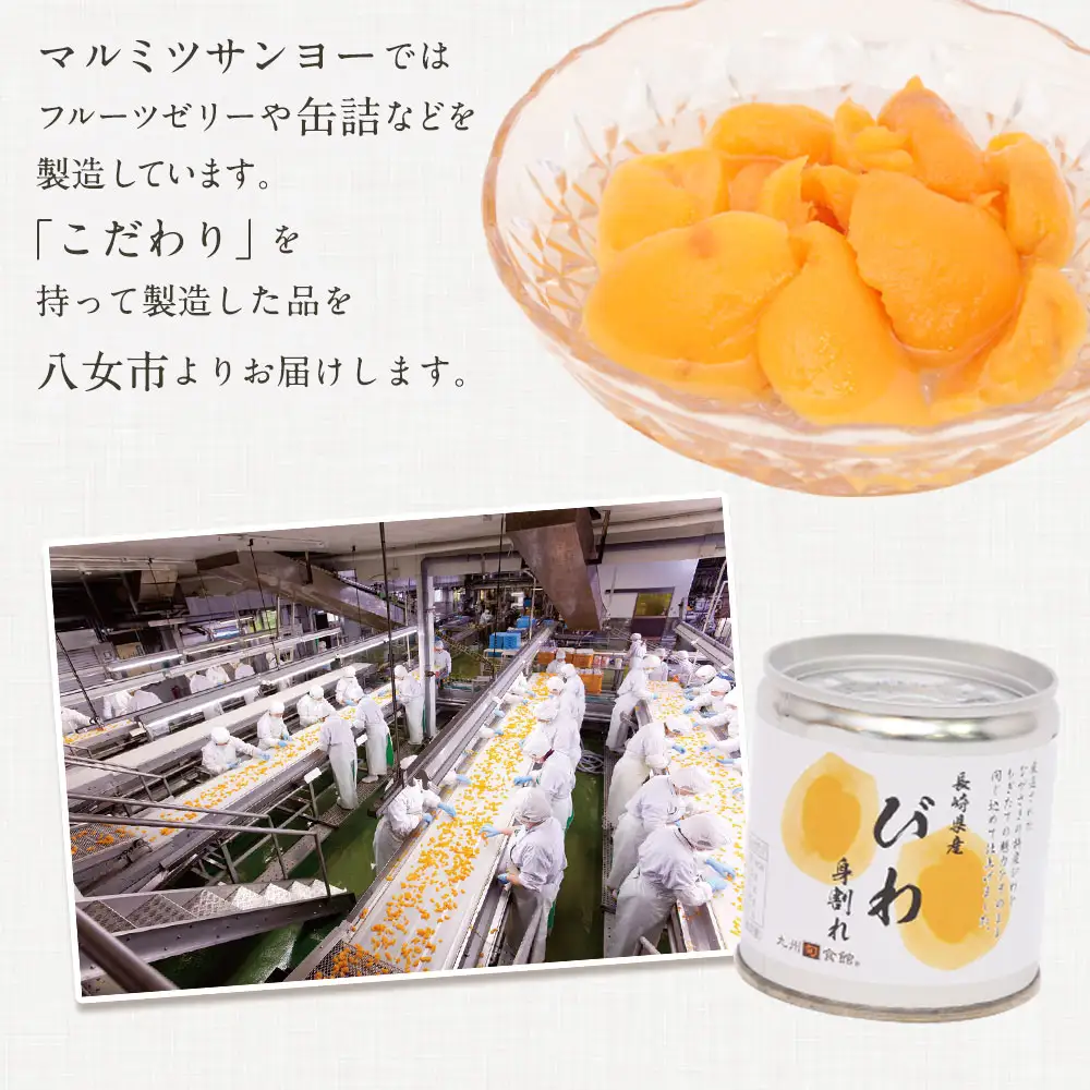 びわ缶詰身割れ 12缶入 枇杷 ビワ 007-030