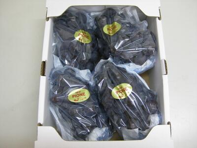ピオーネ ぶどう 葡萄 約2kg
