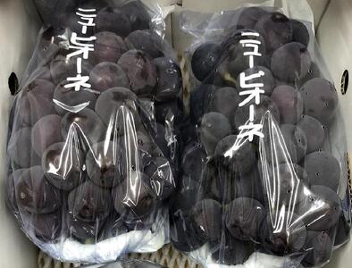 ピオーネ ぶどう 葡萄 約1kg (2房)