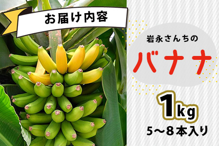 貴重！鹿島産バナナ 約1kg（5～8本）｜岩永さんちのバナナ 安心安全 栽培期間農薬不使用 上品な甘さ＆もちもち食感 生産者直送 おやつ 朝食 国産 果物 フルーツ ばなな 佐賀県 鹿島市 人気 B-824