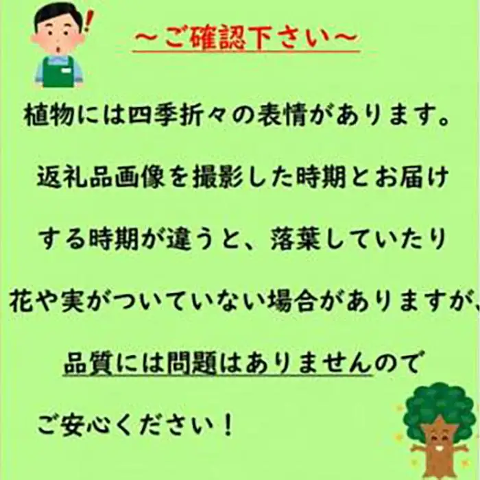 夏に穂状の薄紫色の綺麗な花を楽しみませんか?　セイヨウニンジンボク(庭木・果樹)