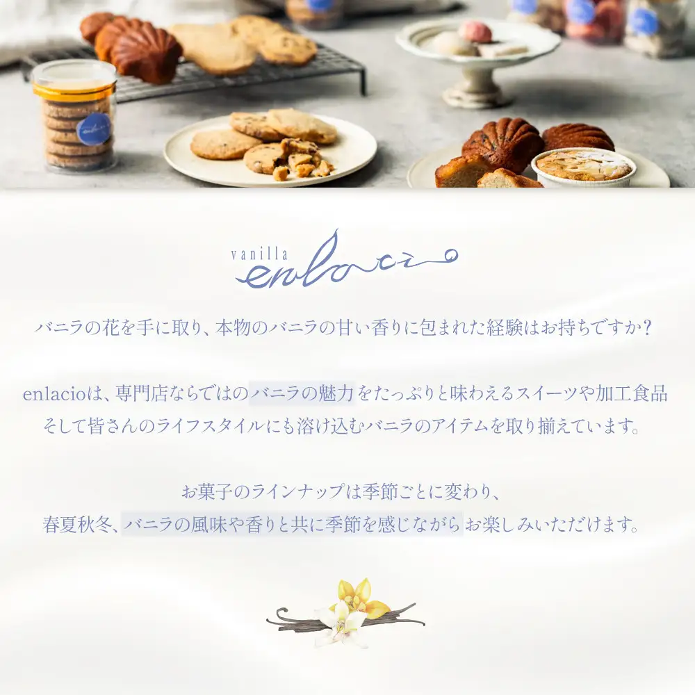 夙川バニラチーズタルト＜5個入＞　チーズタルト