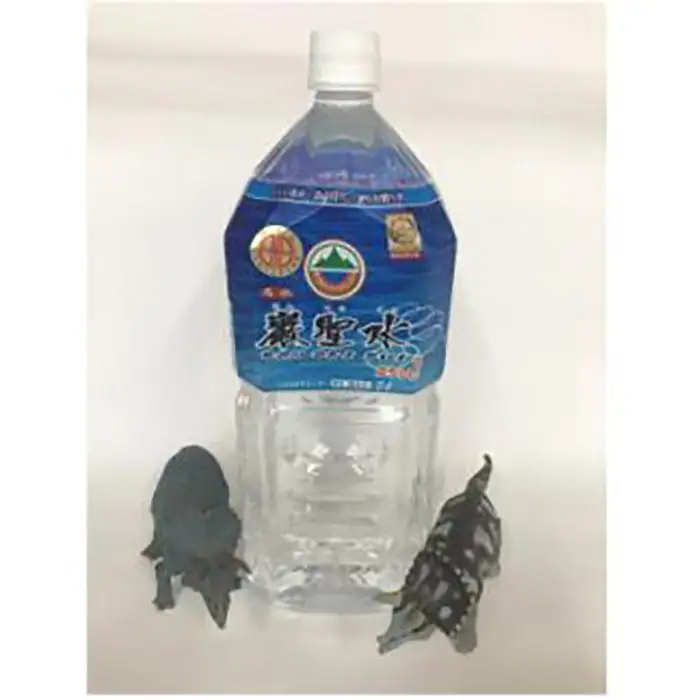 ＜毎月定期便＞ミネラルウォーター巌聖水6500(がんせいすい6500) 2L×6本入り全3回 ミネラルウォーター
