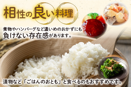【先行予約】【令和7年産 新米】福井県大野市産 JGAP認証 コシヒカリ「あかね」5kg（2.5kg×2）小分け 